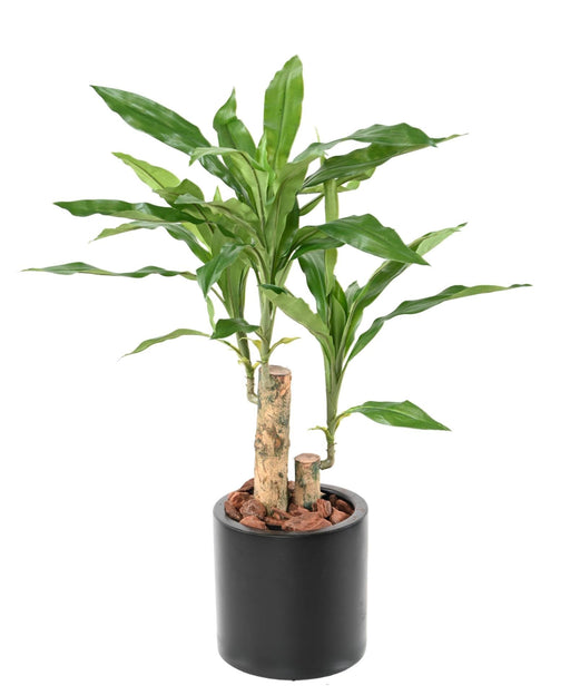 Pianta Artificiale Dracaena Fragrans H.60Cm Verde