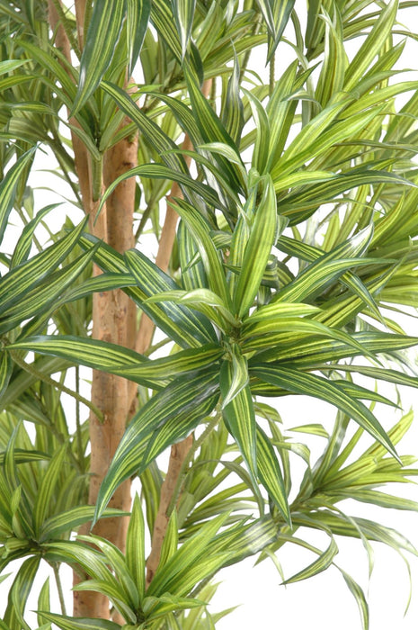 Pianta Artificiale Dracaena Reflexa 110Cm Per Interni