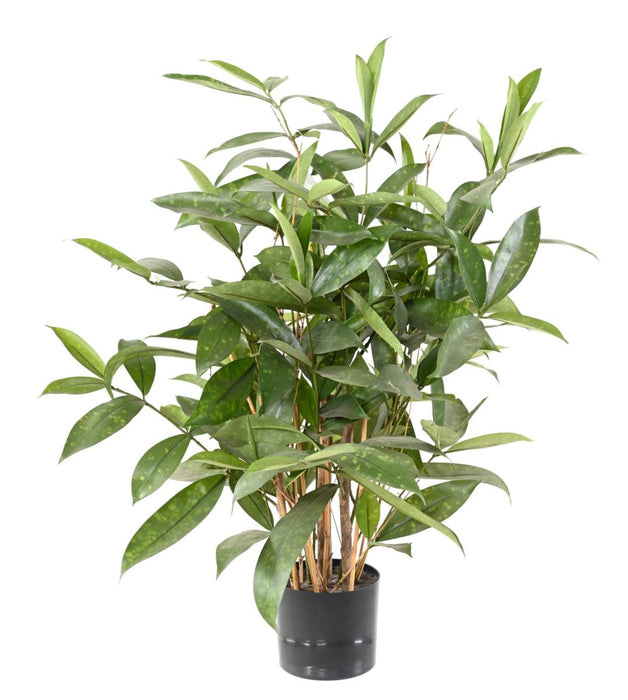 Pianta Artificiale Dracaena Surculosa 60Cm Verde