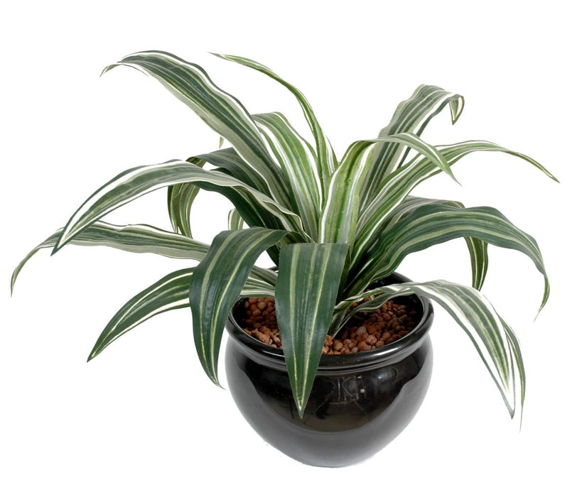 Pianta Artificiale Dracaena Warneki Palo 35Cm