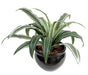 Pianta Artificiale Dracaena Warneki Palo 35Cm