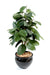 Pianta Ficus Artificiale Elastica 110 Cm