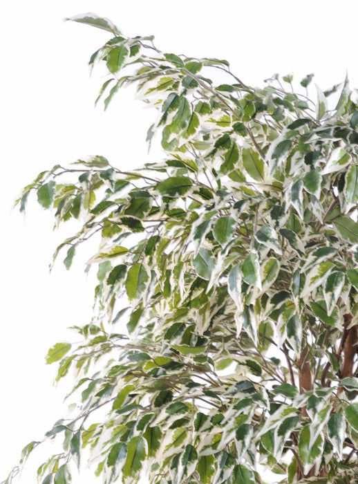 Pianta Artificiale Ficus Liane 150 Cm Verde Crema