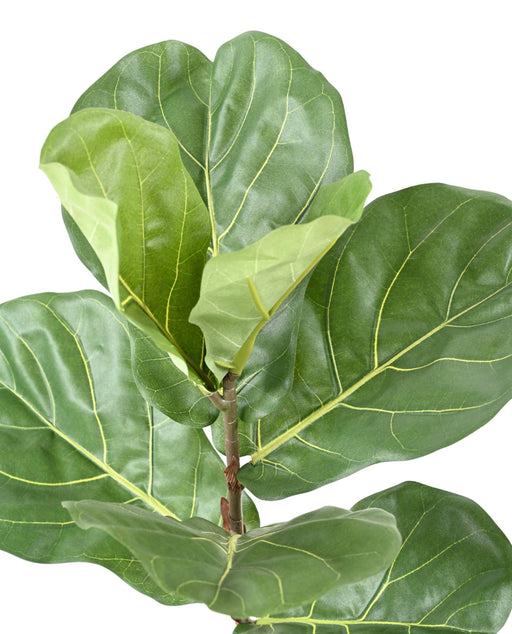 Pianta Artificiale Ficus Lyrata 160 Cm Verde