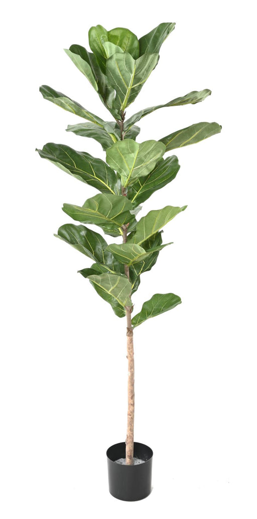 Pianta Artificiale Ficus Lyrata 160 Cm Verde