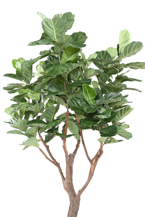Pianta Artificiale Ficus Lyrata 290Cm Verde