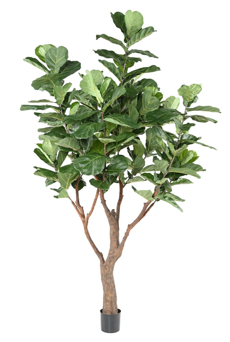 Pianta Artificiale Ficus Lyrata 290Cm Verde