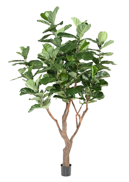 Pianta Artificiale Ficus Lyrata 290Cm Verde