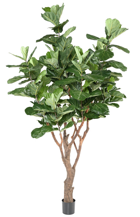 Pianta Artificiale Ficus Lyrata 290Cm Verde