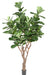 Pianta Artificiale Ficus Lyrata 290Cm Verde