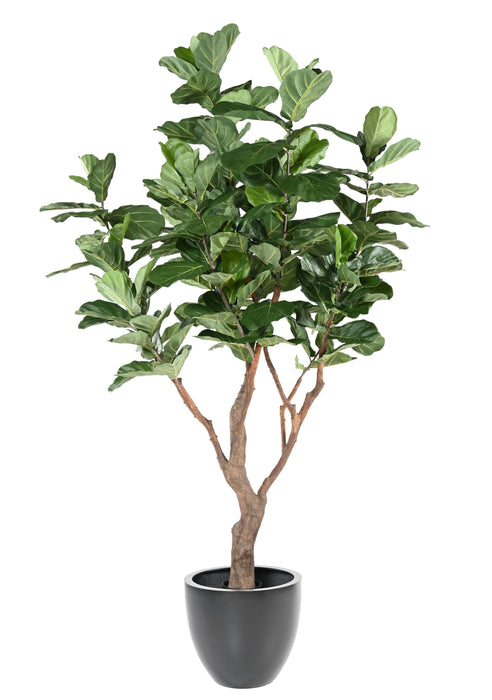 Pianta Artificiale Ficus Lyrata 290Cm Verde
