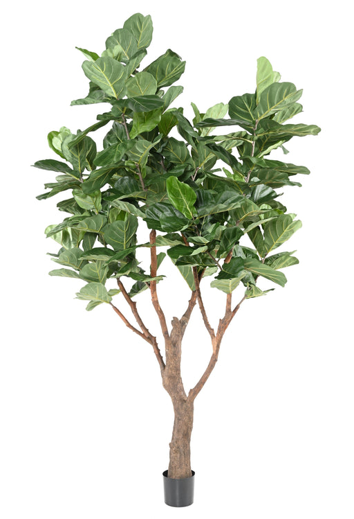 Pianta Artificiale Ficus Lyrata 290Cm Verde