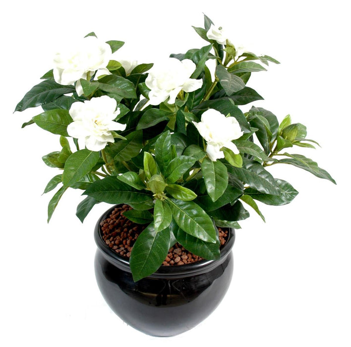 Pianta Di Gardenia Artificiale Crema Da 40 Cm Su Paletto