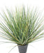 Pianta Erba Artificiale In Vaso 80Cm Verde