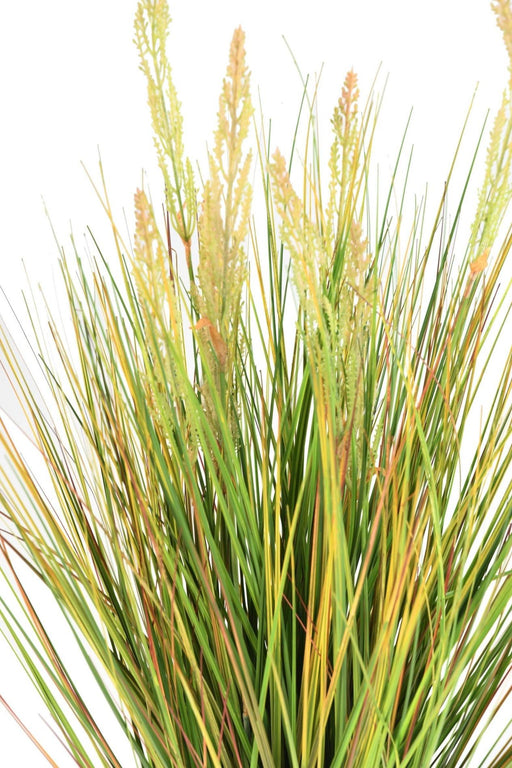 Erba Artificiale Pianta Cipolla 120Cm In Vaso