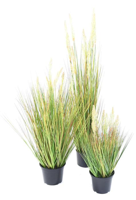 Erba Artificiale Pianta Cipolla 120Cm In Vaso