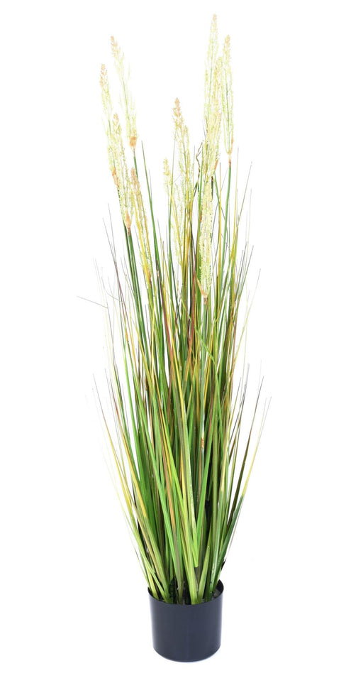 Erba Artificiale Pianta Cipolla 120Cm In Vaso