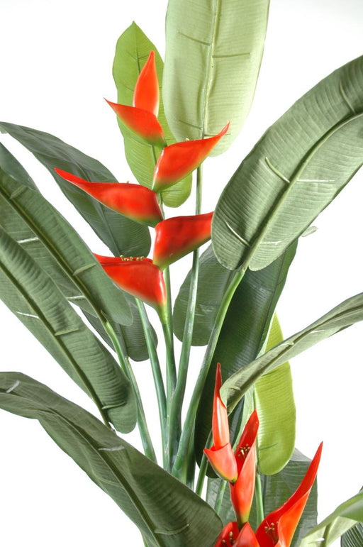 Pianta Artificiale Di Heliconia Per La Decorazione Interna