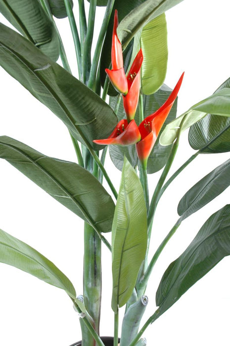 Pianta Artificiale Di Heliconia Per La Decorazione Interna