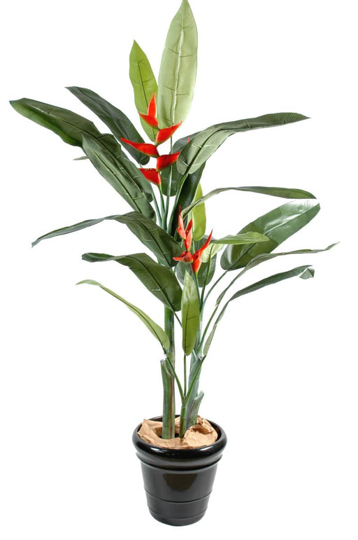 Pianta Artificiale Di Heliconia Per La Decorazione Interna