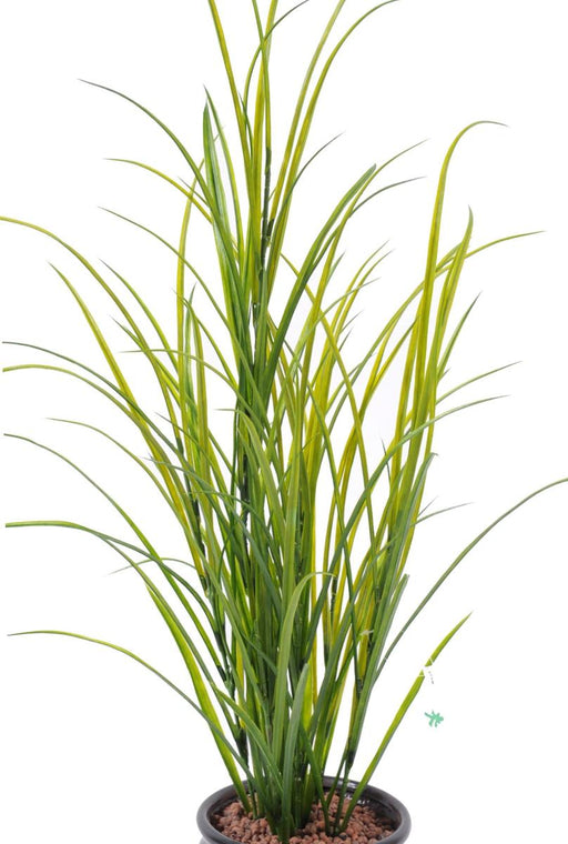 Pianta Artificiale Erba 100Cm Plastica