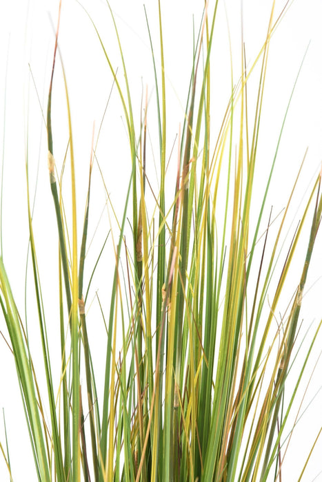 Pianta Di Erba Artificiale Erba Di Cipolla 120Cm