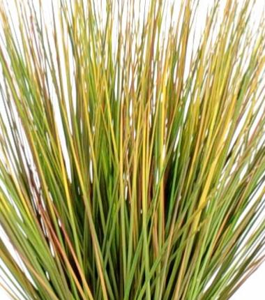 Erba Artificiale Pianta Cipolla Erba 90Cm Verde Giallo