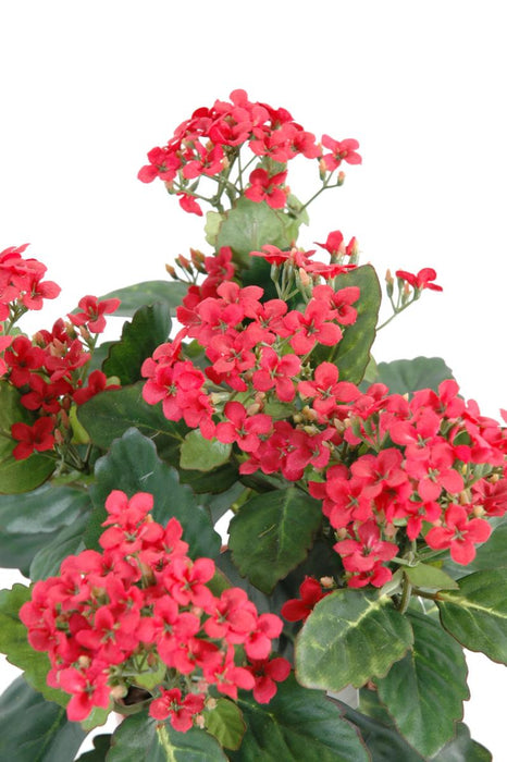 Pianta Artificiale Kalanchoe Rossa 25Cm