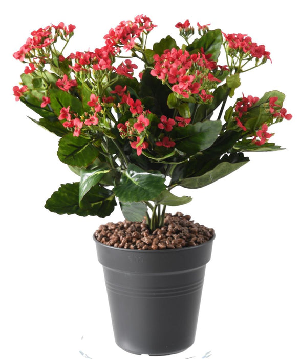 Pianta Artificiale Kalanchoe Rossa 25Cm