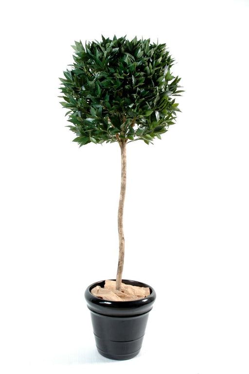 Pianta Artificiale Sfera Con Stelo Di Alloro 150Cm Verde