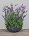 Pianta Di Lavanda Artificiale 50 Cm Decorazione Interna