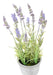 Pianta Di Lavanda Artificiale In Vaso Decorativo 40Cm