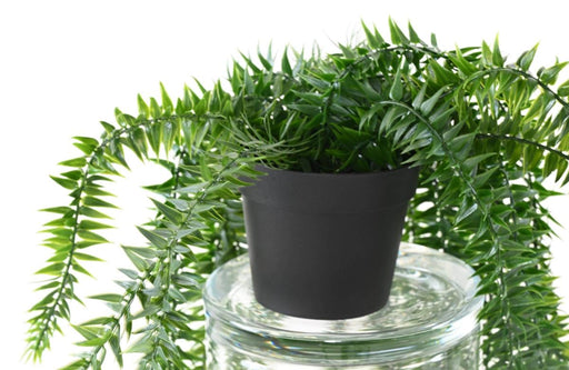 Pianta Di Lycopodium Artificiale H.70Cm Per Decorazione