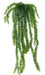Pianta Di Lycopodium Artificiale H.70Cm Per Decorazione