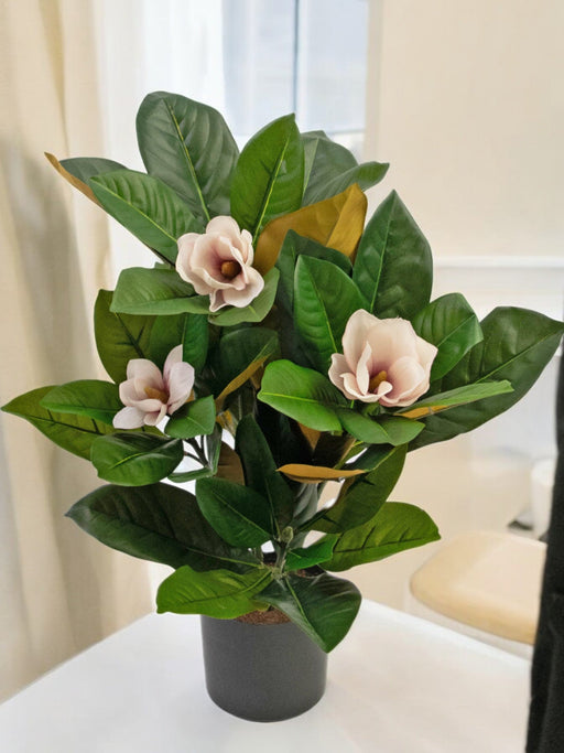 Pianta Di Magnolia Artificiale In Vaso