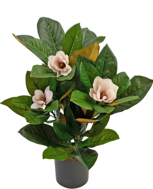 Pianta Di Magnolia Artificiale In Vaso