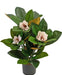 Pianta Di Magnolia Artificiale In Vaso