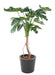 Pianta Artificiale Monstera Filodendro 130Cm