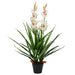 Pianta Orchidea Cymbidium Artificiale Con Vaso 100 Cm Verde