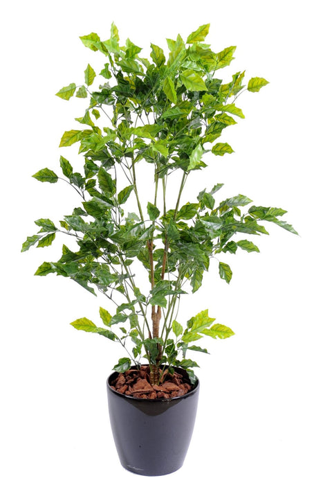 Pianta Di Palissandro Artificiale Resistente Per Esterni