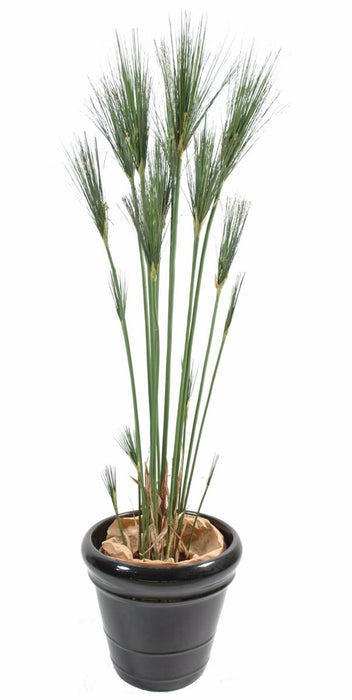Pianta Artificiale Papyrus Cyperus 125Cm In Vaso
