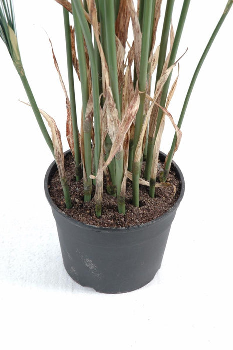 Pianta Artificiale Papyrus Cyperus Indoor 155Cm