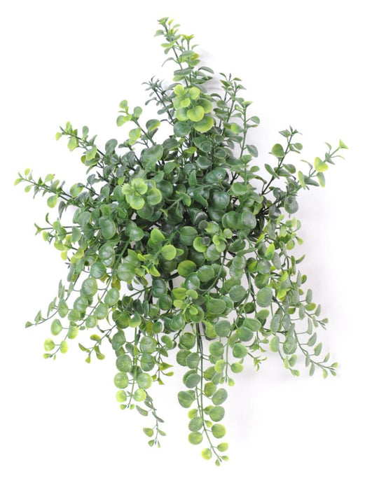 Pianta Peperomia Artificiale 40 Cm Per Interni Esterni