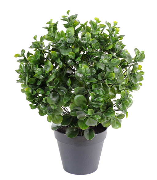 Pianta Peperomia Artificiale 60Cm Per Interni Esterni