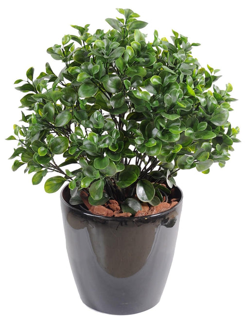 Pianta Peperomia Artificiale 60Cm Per Interni Esterni