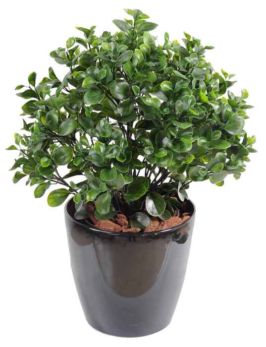 Pianta Peperomia Artificiale 60Cm Per Interni Esterni