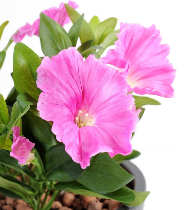 Pianta Artificiale Petunia Fucsia 25Cm Su Paletto
