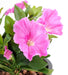 Pianta Artificiale Petunia Fucsia 25Cm Su Paletto