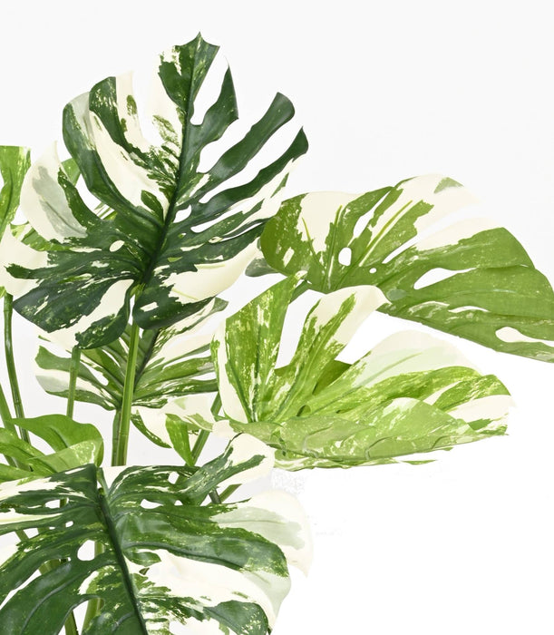 Pianta Artificiale Filodendro 75Cm Con Vaso