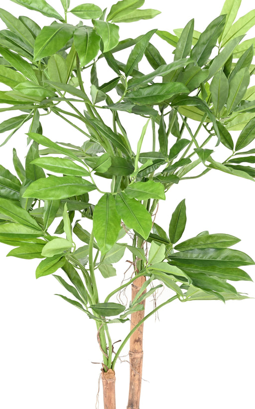 Pianta Artificiale Filodendro Goeldii 150Cm